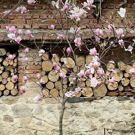 Borimechkova Kashta 2*