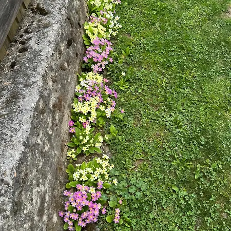 Borimechkova Kashta 2* Koprivstica