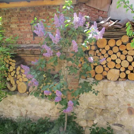 Borimechkova Kashta 2*