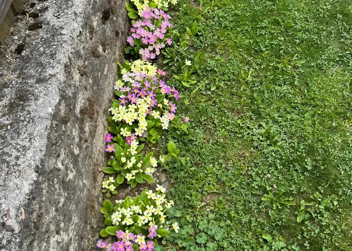 Borimechkova Kashta 2* Kopriwsztica