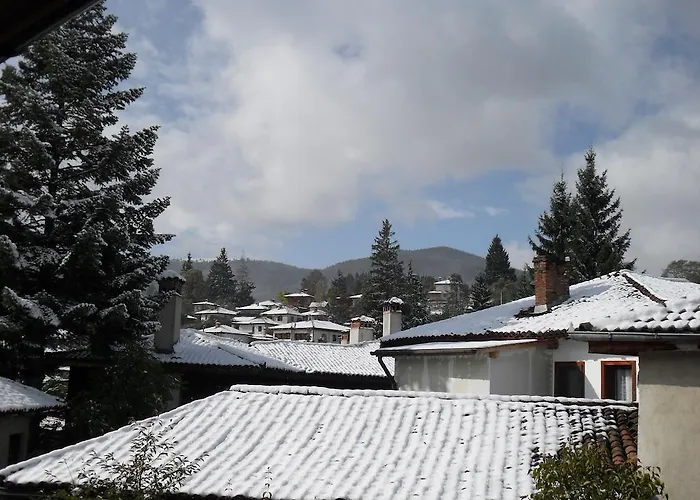 Pensjonat Borimechkova Kashta 2*