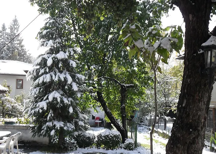 Pensjonat Borimechkova Kashta 2*