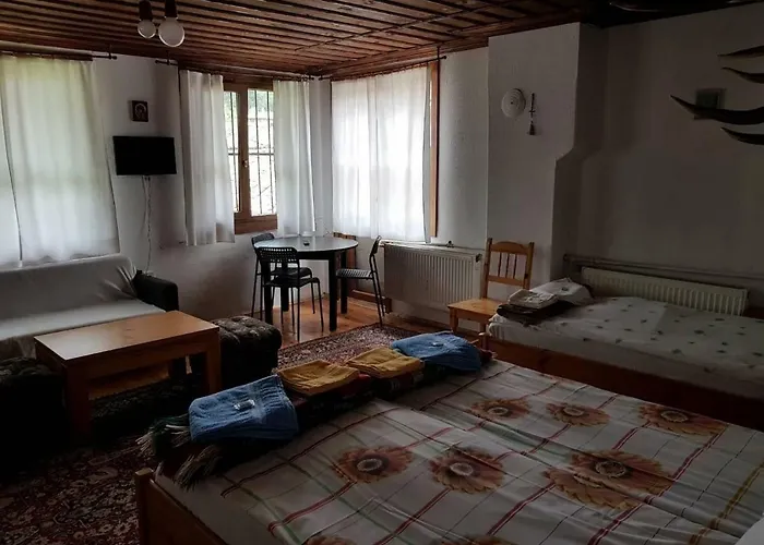 Borimechkova Kashta Pensjonat Kopriwsztica