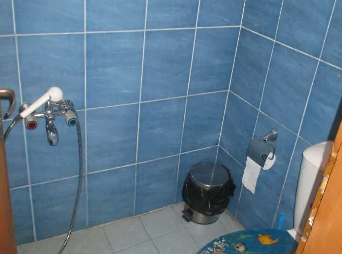 Pensjonat Borimechkova Kashta