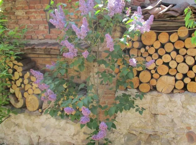 Borimechkova Kashta 2*